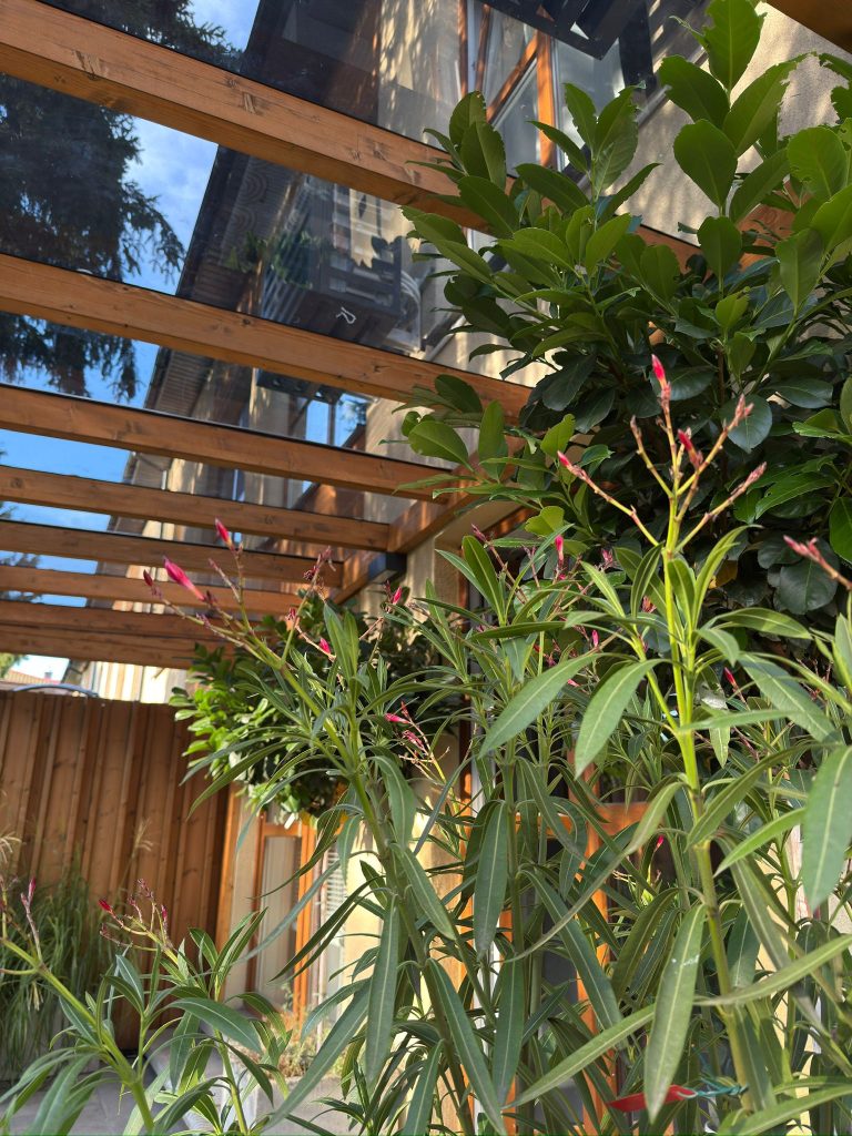 057d0e15-0a52-403e-94ba-d39c372c4e25